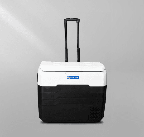 Vaccine Transporter