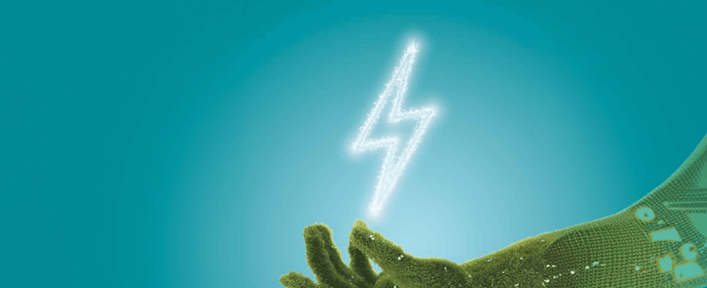 Energy Management Services