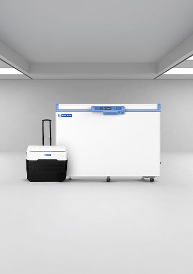 Banner Mobile